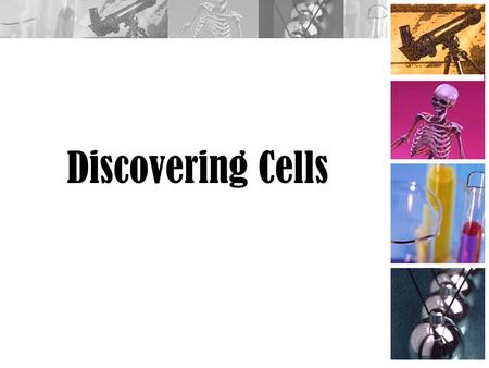 Discovering Cells.