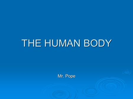 THE HUMAN BODY Mr. Pope.