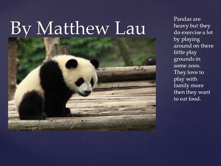 Anahit Hovhannisyan 6th class English - ppt download