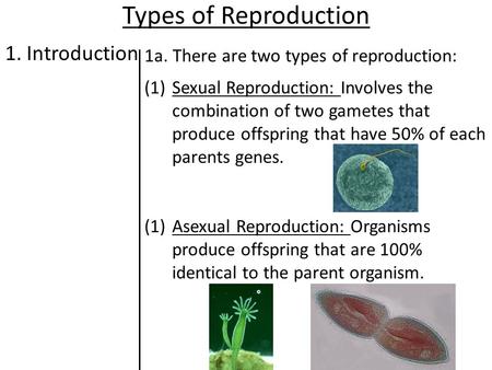 Types of Reproduction 1. Introduction 1a. There are two types of reproduction: (1)Sexual Reproduction: Involves the combination of two gametes that produce.