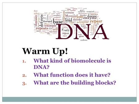 Warm Up! 1. What kind of biomolecule is DNA? 2. What function does it have? 3. What are the building blocks?