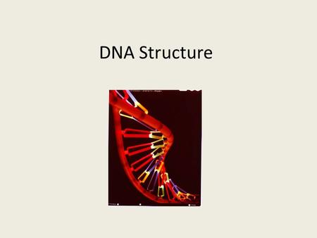 DNA Structure. Essential Questions for Today What is DNA? What is a gene? What is the basic structure of DNA? What is the function of DNA?