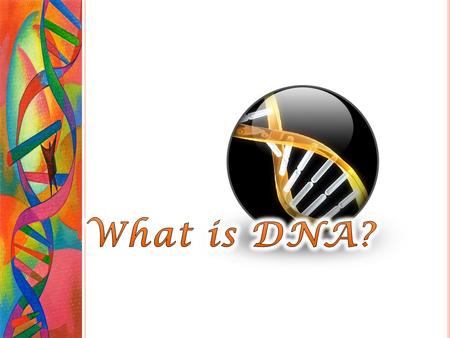 Why do you think they are studying DNA????