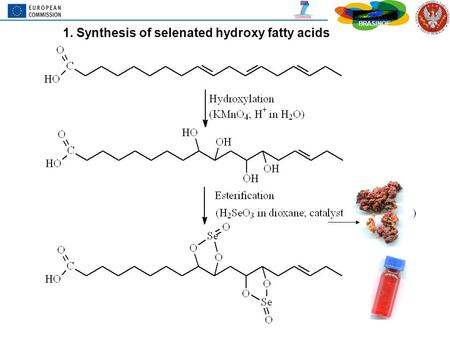 1. Synthesis of selenated hydroxy fatty acids BRASINOE U.