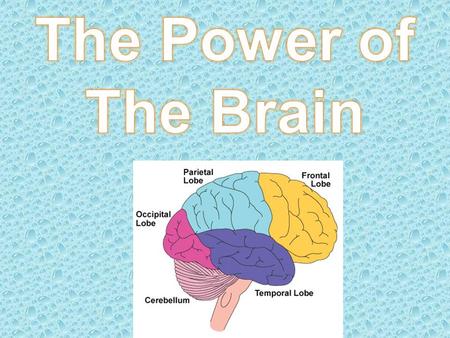 The brain has the power to tell us what we think, dream, imagine, say, learn, feel, the way we look at things from different points of view and much more.