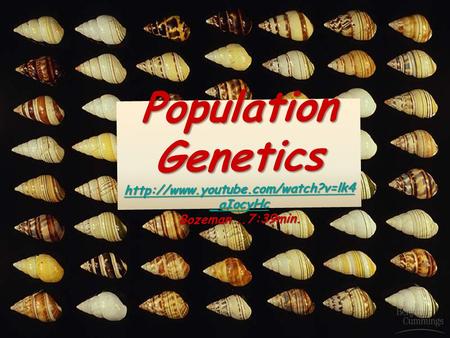 1 1 Population Genetics  _aIocyHc Bozeman..7:39min.  _aIocyHc