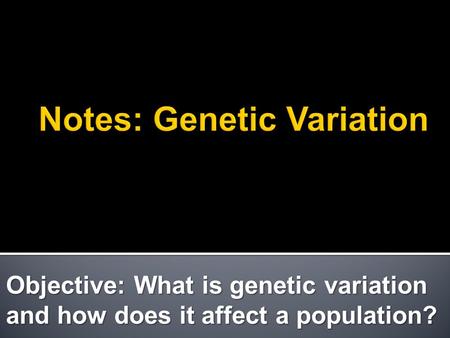 Objective: What is genetic variation and how does it affect a population?