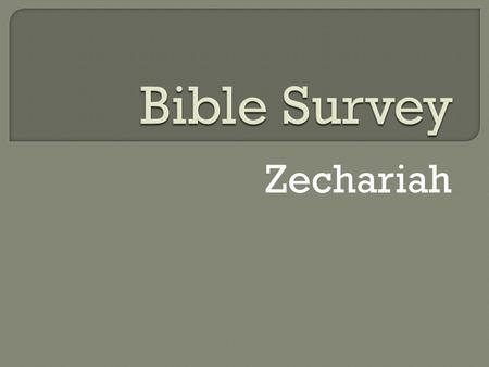 Bible Survey Zechariah.