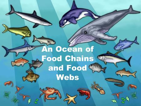 An Ocean of Food Chains and Food Webs. Food Chain large shark mahi mackerel small fish zooplankton phytoplankton Flow of Energy.