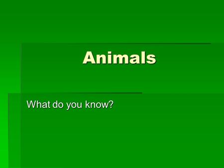 Animals What do you know?.