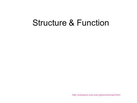 Structure & Function