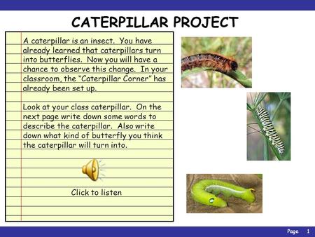 Page1 CATERPILLAR PROJECT A caterpillar is an insect. You have already learned that caterpillars turn into butterflies. Now you will have a chance to.