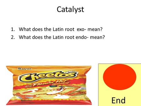Catalyst 1.What does the Latin root exo- mean? 2.What does the Latin root endo- mean? End.