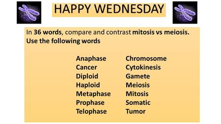 HAPPY WEDNESDAY In 36 words, compare and contrast mitosis vs meiosis. Use the following words Anaphase		Chromosome Cancer		Cytokinesis Diploid		Gamete.