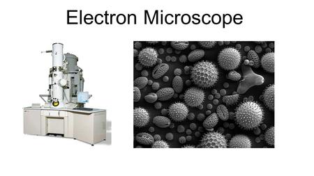 Electron Microscope. How do they work Instead of using light they fire a beam of electrons (which have a wavelength less than 1nm compared to light which.