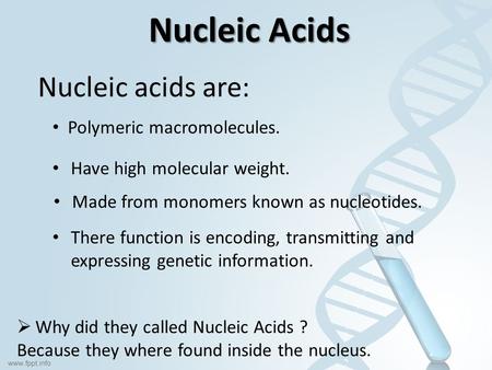 Nucleic Acids Nucleic acids are: Polymeric macromolecules. Have high molecular weight. Made from monomers known as nucleotides. There function is encoding,