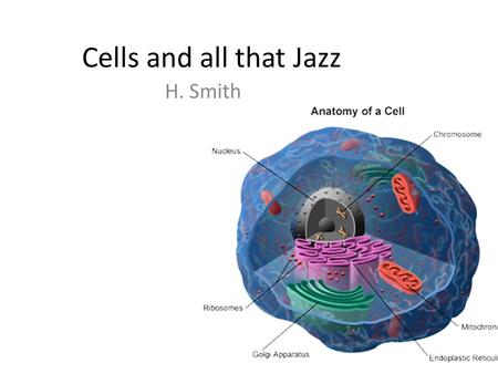 Cells and all that Jazz H. Smith. Cell Theory: 3 parts Cells are the basic unit of life. All living things are made of cells. All cells come from pre-existing.