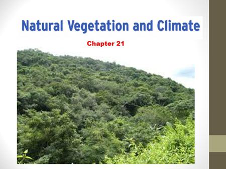 Chapter 21. 2 details to learn: What is natural vegetation? What are deciduous trees?