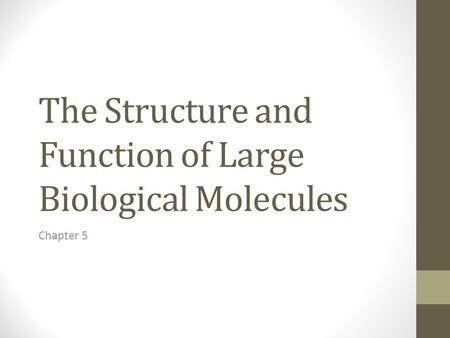The Structure and Function of Large Biological Molecules Chapter 5.