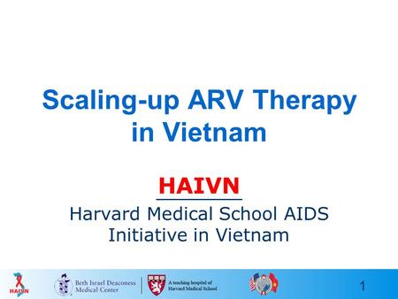 1 Scaling-up ARV Therapy in Vietnam HAIVN Harvard Medical School AIDS Initiative in Vietnam.