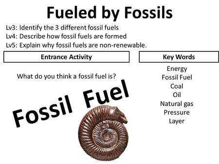 What do you think a fossil fuel is?