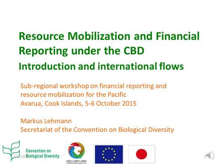 Resource Mobilization and Financial Reporting under the CBD Introduction and international flows Sub-regional workshop on financial reporting and resource.