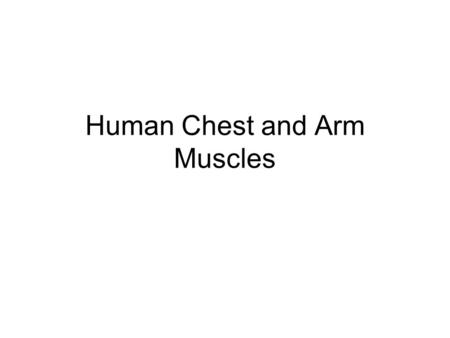 Human Chest and Arm Muscles. Pectoralis Major Pectoralis Minor.