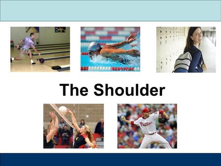 The Shoulder. Label the Shoulder  The shoulder is made up of three bones Humerus Scapula Clavicle  Humerus – upper arm bone  Scapula – shoulder blade.