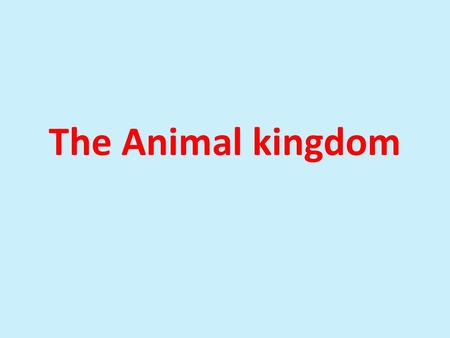 The Animal kingdom.
