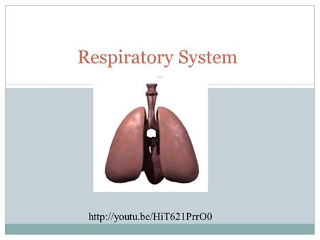 Respiratory System  TO EXCHANGE OXYGEN AND CARBON DIOXIDE BETWEEN THE BLOOD, THE AIR AND TISSUES. Function of the Respiratory.