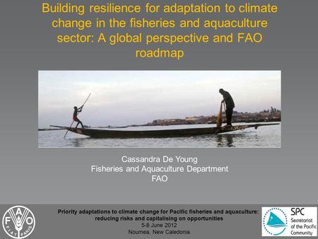 Building resilience for adaptation to climate change in the fisheries and aquaculture sector: A global perspective and FAO roadmap Cassandra De Young Fisheries.