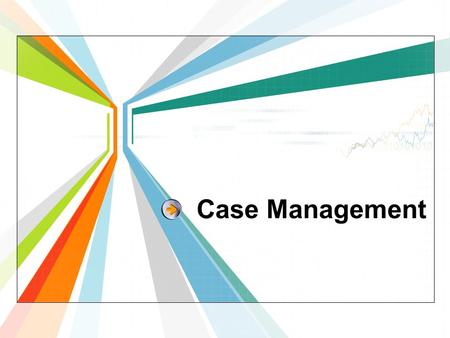 Case Management. What? Who? Why? Areas of activities 4 1 2 3 Contents.