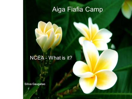 Annie Sio-Tema & Siliva Gaugatao Using Achievement Data to inform Teaching and Learning with Pasifika students Aiga Fiafia Camp Siliva Gaugatao NCEA -