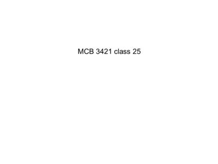 MCB 3421 class 25. student evaluations Please go to husky CT and complete student evaluations !