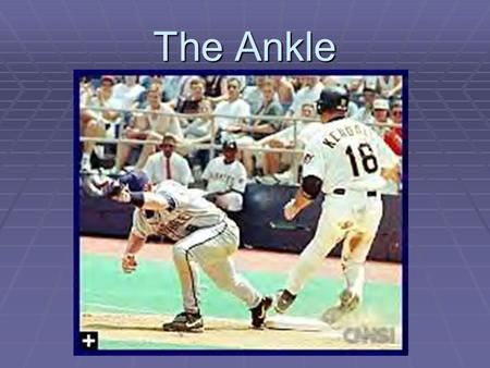 The Ankle.