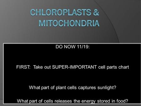 DO NOW 11/19: FIRST: Take out SUPER-IMPORTANT cell parts chart What part of plant cells captures sunlight? What part of cells releases the energy stored.