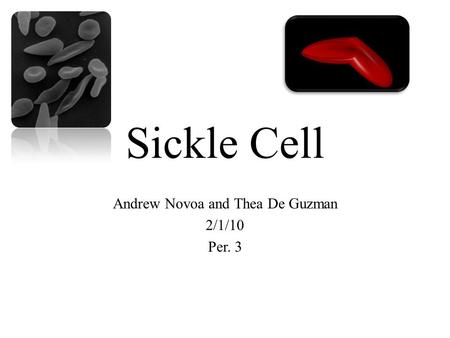 Sickle Cell Andrew Novoa and Thea De Guzman 2/1/10 Per. 3.
