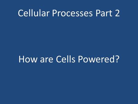Cellular Processes Part 2 How are Cells Powered?