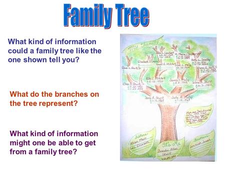What kind of information could a family tree like the one shown tell you? What do the branches on the tree represent? What kind of information might one.