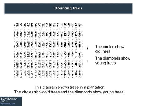 Counting Trees This diagram shows trees in a plantation. The circles show old trees and the diamonds show young trees. The circles show old trees The diamonds.