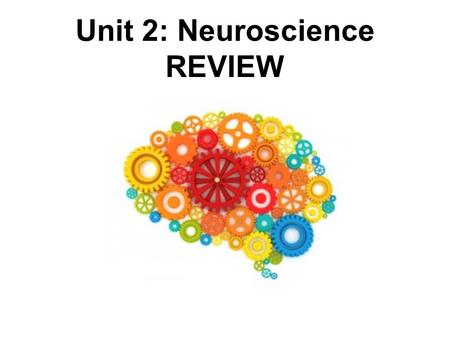 Unit 2: Neuroscience REVIEW