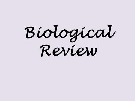 Biological Review. Main Ideas Neurons (parts; action potential; and synapses) Body systems – CNS & ES Brain (areas and parts) Biological Perspective (parts.