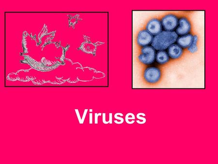 Viruses. What is a virus? Are tiny! Can infect a bacterium. 5 billion viruses can fit into one drop of blood!! Virus can change often –This makes them.