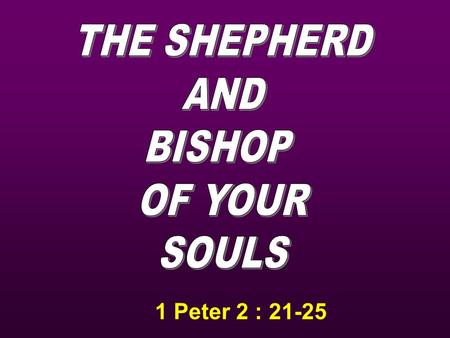 1 Peter 2 : 21-25. He is the Good Shepherd He is the Great Shepherd He is the Chief Shepherd.