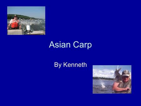 Asian Carp By Kenneth. Description Grass, Silver, Black and Bighead carp are known as the “4 domesticated fish” in China. They are the most important.