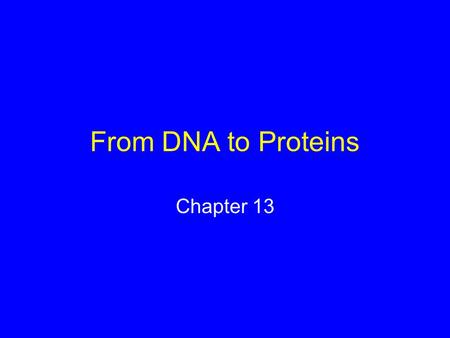 From DNA to Proteins Chapter 13. Same two steps produce all proteins: 1) DNA is transcribed to form RNA –Occurs in the nucleus –RNA moves into cytoplasm.
