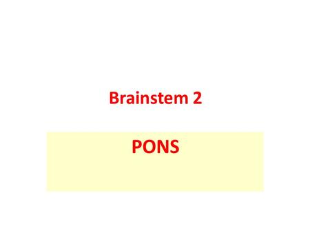 Brainstem 2 PONS. External features of Pons Pons Literally means “bridge” Wedged between the midbrain & medulla. Pons shows a convex anterior surface.
