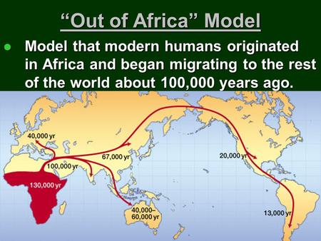 “Out of Africa” Model Model that modern humans originated in Africa and began migrating to the rest of the world about 100,000 years ago. Model that modern.