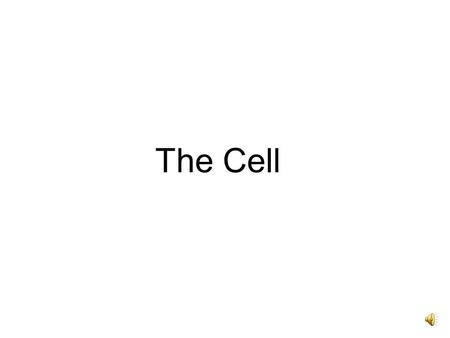 The Cell What are cells? What are cells? Your body is divided into tiny sections called cells. The cell is one of the most basic units of life. Cells.