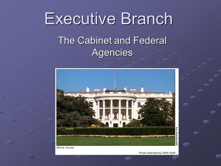 Executive Branch The Cabinet and Federal Agencies.